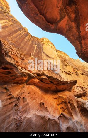 Murs de grès érodés et surplombs ressemblant à Swiss Cheese dans la partie Subway slot de Crack Canyon, San Rafael Reef, Utah. Banque D'Images