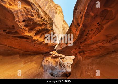 Murs de grès érodés et surplombs ressemblant à Swiss Cheese dans la partie Subway slot de Crack Canyon, San Rafael Reef, Utah. Banque D'Images