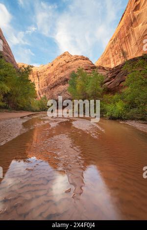 De la vapeur s'écoule dans une alcôve géante adjacente à Jacob Hamblin Arch à Coyote Gulch, dans la zone de loisirs nationale de Glen Canyon, Utah. Banque D'Images