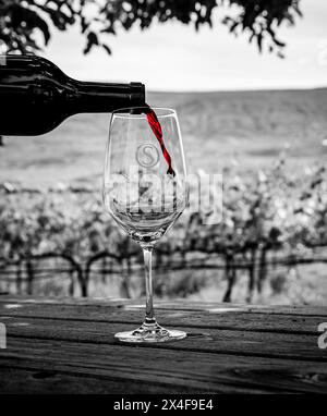 États-Unis, État de Washington, lac Chelan. Remplissage d'un verre de vin rouge de succession Winery dans le vignoble. (Usage éditorial uniquement) Banque D'Images