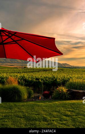 États-Unis, État de Washington, vallée de Yakima. Coucher de soleil sur Fidelitas Winery et le vignoble du domaine, encadré par les Horse Heaven Hills. (Usage éditorial uniquement) Banque D'Images