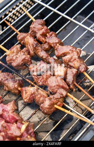 Délicieux kebabs d'agneau grillés au charbon de bois Banque D'Images