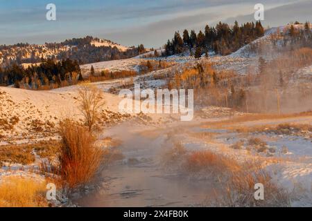 Matin d'hiver le long d'un petit ruisseau au lever du soleil, Grand Teton National Park, Wyoming Banque D'Images