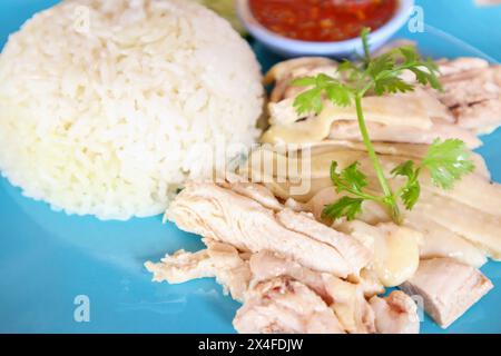 Riz au poulet Hainanese Banque D'Images