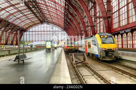 Anvers, Belgique, le 13 juin 2019, cette image capture la gare centrale d'Anvers, animée et historique, réputée pour son saisissant toit en voûte rouge et son style architectural grandiose. Deux trains modernes sont prêts sur les voies ferrées, soulignant le mélange de charme historique et de solutions de transport contemporain. La plate-forme est propre, avec peu de passagers visibles, suggérant un moment calme dans une station autrement occupée. Gare centrale d'Anvers avec son emblématique toit Red Arch et ses trains modernes. Photo de haute qualité Banque D'Images