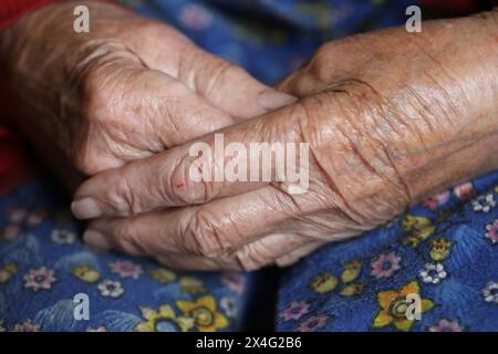 Les mains de la femme âgée. Vieille femme mains en couleur Banque D'Images