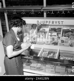 Une femme dans une épicerie dans un congélateur avec des produits congelés, du poulet, du poisson en paquets. Suède 1954. Conard 2752 Banque D'Images