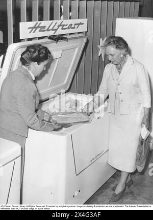 Boîte de congélation dans les années 1950 La directrice de la cuisine d'essai du fabricant d'électroménagers Elektrohelio MRS Eva Göthberg montre un gratin de poisson surgelé au consultant en maison Ingeborg Lundborg. Les aliments surgelés seraient le début d'une révolution dans les habitudes domestiques et le stockage des aliments. Beaucoup étaient sceptiques, et en particulier les fabricants d'aliments en conserve considéraient les aliments congelés comme une tendance passagère. 1955 Banque D'Images