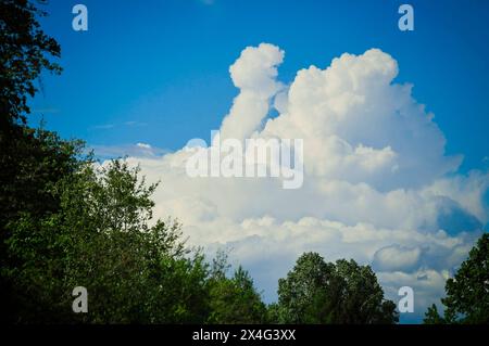 03.05.2024, Neukirchen an der Enknach, AUT, Unterwegs in Oberösterreich, reportage, Symbolbild, Themenbild, Verschiedene Themenbilder, Wolkenstimmung, Gewitterwolken, im Bild Wolkenstimmung am Blauen Himmel, Schwan, *** 03 05 2024, Neukirchen an der Enknach, AUT, sur la route de haute-Autriche, reportage, image symbole, image à thème, diverses images à thème, humeur nuageuse, nuages d'orage, dans l'image humeur nuageuse dans le ciel bleu, cygne, Banque D'Images