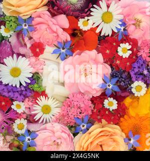 Fleurs et herbes d'été pour la médecine naturelle à base de plantes. Décoration alimentaire comestible également utilisée dans les remèdes médicinaux alternatifs. Composition naturelle florale. Banque D'Images