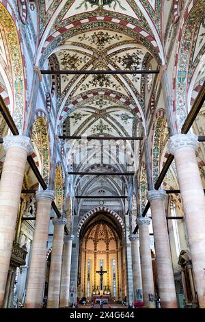 Vérone Veneto Italie. La basilique Sainte-Anastasie Banque D'Images