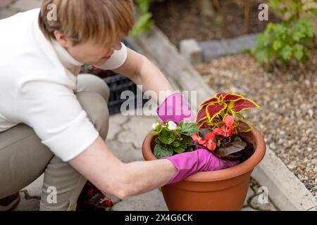 Femme avec des gants faisant du jardinage Banque D'Images