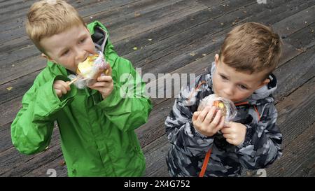 Deux garçons en vestes dégustent des pommes au caramel sur un pont en bois Banque D'Images