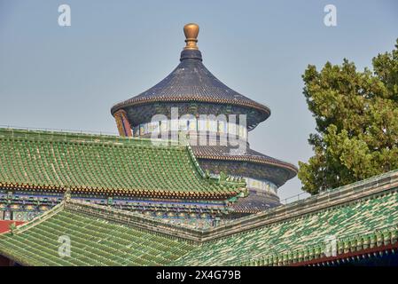 Monuments touristiques du Temple du ciel, où les empereurs des dynasties Ming et Qing priaient au ciel pour une bonne récolte, à Pékin, en Chine Banque D'Images