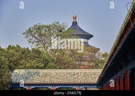 Monuments touristiques du Temple du ciel, où les empereurs des dynasties Ming et Qing priaient au ciel pour une bonne récolte, à Pékin, en Chine Banque D'Images