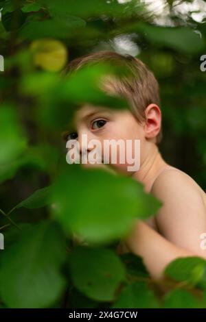 Garçon tout-petit culminant derrière des feuilles dans la forêt Banque D'Images