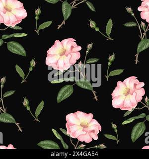 Motif aquarelle sans couture avec rose musquée, feuilles de Brier et branches. Illustration tendre isolée sur fond noir Banque D'Images