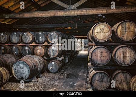 Distillateur Fettercarin, Whisky mûrissant en fûts dans le célèbre et unique entrepôt de Dunnage 14 . y, Aberdeenshire , Écosse. Banque D'Images