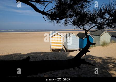 Cabines de plage de Wells-next-the-Sea, North Norfolk, Angleterre Banque D'Images