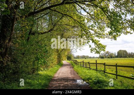 Sentier le long des champs à Fischerhude, basse-Saxe, Allemagne. Weg entlang von Feldern in Fischerhude, Niedersachsen, Deutschland Banque D'Images