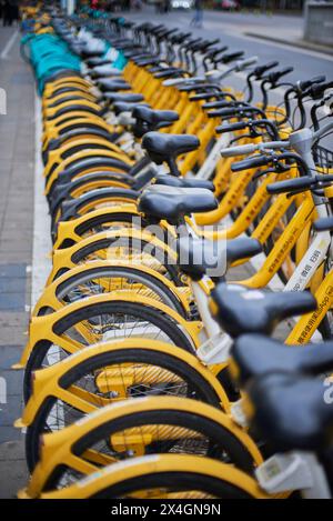 Rangées de bicyclettes publiques exploitées par le système de partage d'applications à Pékin, Chine, le 19 avril 2024 Banque D'Images