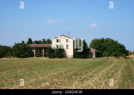 Paysage de campagne près de Fidenza, dans la province de Parme, Emilie Romagne, Italie, en été Banque D'Images