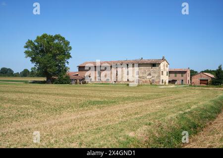 Paysage de campagne près de Fidenza, dans la province de Parme, Emilie Romagne, Italie, en été Banque D'Images