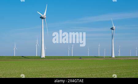 Un vaste champ d'herbe verte luxuriante s'étend au premier plan, tandis qu'un groupe d'imposants moulins à vent tournent gracieusement au loin contre le ciel dégagé de Flevoland, aux pays-Bas. Banque D'Images