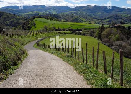 Sentier vide sur le Camino del Norte dans le nord de l'Espagne Banque D'Images