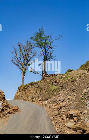 Beau village de Mian City Mingora Swat, Pakistan. Banque D'Images