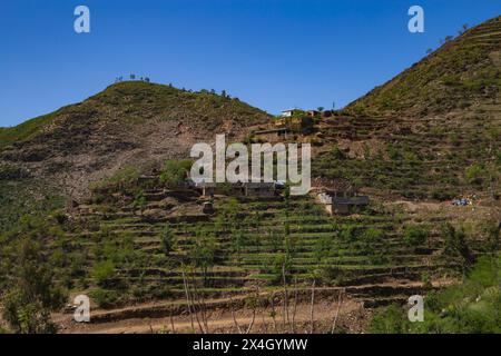 Beau village de Mian City Mingora Swat, Pakistan. Banque D'Images