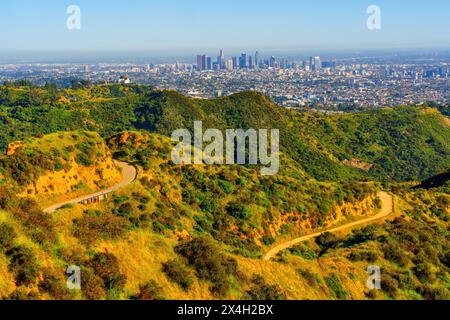 Splendeur panoramique des sentiers tentaculaires du Griffith Park, offrant une vue pittoresque sur les gratte-ciel emblématiques de Los Angeles. Banque D'Images