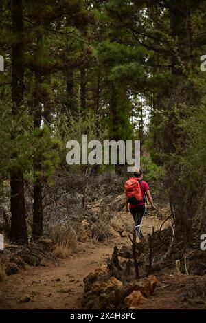 explorer la nature femme marchant le long d'un chemin serpentin dans une forêt verdoyante, entourée par la beauté naturelle et la tranquillité de l'environnement Banque D'Images