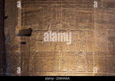 Un relief, endommagé par les premiers chrétiens, au temple d'Isis dans le complexe du temple de Philae sur l'île d'Agilkia (Nubie), en Égypte Banque D'Images