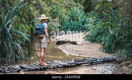 Jeune femme en chemise beige, short et paille Haw, sac à dos sur les épaules, randonnée dans la jungle de la forêt tropicale, marchant sur un pont en bois bas à un petit ruisseau près Banque D'Images