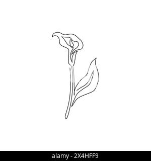 Dessin de ligne continue simple de beauté fraîche zantedeschia pour impression de décoration murale à la maison. Fleur de lys décorative imprimable pour ornement de cartes de voeux Illustration de Vecteur
