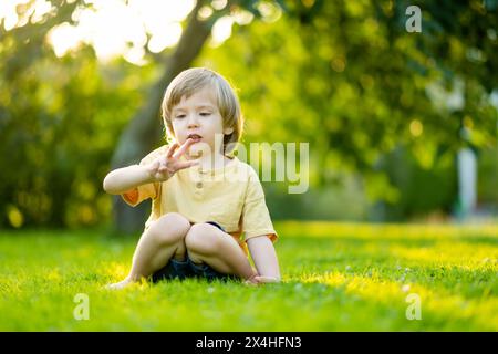 Adorable petit garçon s'amuser à l'extérieur le jour ensoleillé d'été. Enfant qui court dehors. Enfant explorant la nature. Activités estivales pour les petits enfants. Banque D'Images