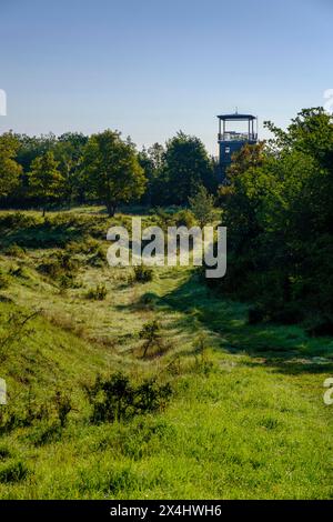 Point India, avec une tour de défense à la frontière intérieure de l'Allemagne près de Luederbach, district de Werra-Meissner, Hesse, Allemagne Banque D'Images