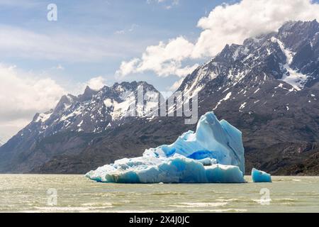 Iceberg sur Lago Grey, Torres de Paine, Magallanes et Antarctique chilien, Chili Banque D'Images