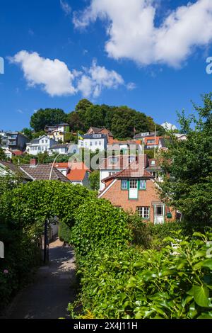 Suellberg avec villas dans le Treppenviertel, immeuble résidentiel, quartier Blankenese, Hambourg, Allemagne Banque D'Images