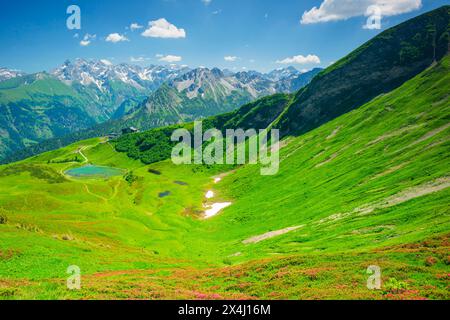 Fleurs de rose alpine, panorama de Fellhorn sur Schlappoldsee et la station de montagne Fellhornbahn jusqu'à la crête principale centrale des Alpes d'Allgaeu Banque D'Images