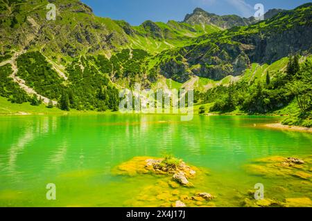 Basse Gaisalpsee, derrière le Nebelhorn, 2224m, Alpes Allgaeu, Allgaeu, Bavière, Allemagne Banque D'Images