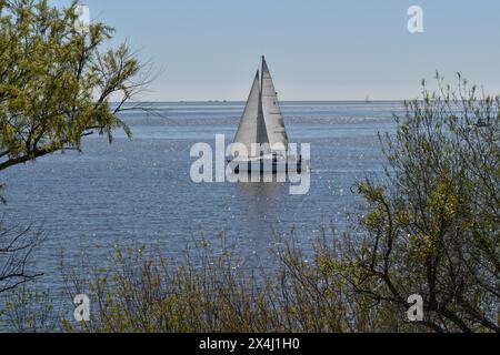 Bateau à voile privé sur le Rio de la Plata au large de Buenos Aires, Argentine Banque D'Images