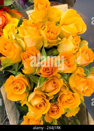 Bouquet coloré de roses dans l'affichage de vente avec des roses de couleur jaune-gamme, international Banque D'Images