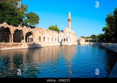 Bassin d'Abraham où le prophète a été jeté au feu par le roi Nimrod, Sanliurfa, Turquie Banque D'Images