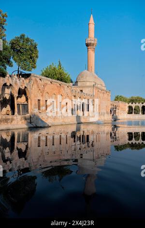 Bassin d'Abraham où le prophète a été jeté au feu par le roi Nimrod, Sanliurfa, Turquie Banque D'Images