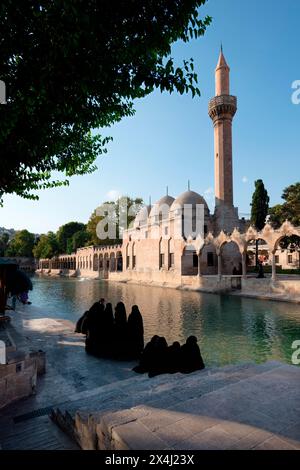 Des femmes musulmanes portant des abaya devant la piscine d'Abraham où le prophète a été jeté au feu par le roi Nimrod, Sanliurfa, Turquie Banque D'Images