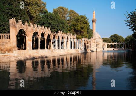 Bassin d'Abraham où le prophète a été jeté au feu par le roi Nimrod, Sanliurfa, Turquie Banque D'Images