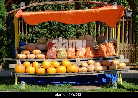 Stand de bord de route avec une variété de légumes frais dans le nord de la Serbie Banque D'Images