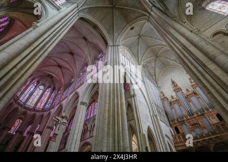 RVault de chœur et transept, croisement, cathédrale omanique-gothique Saint-Julien du Mans, le Mans, département Sarthe, région pays de la Loire, France Banque D'Images